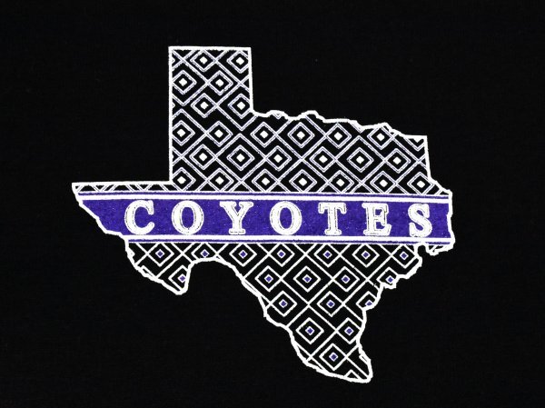 USA古着 テキサス COYOTES ロゴ Tシャツ sizeXL 黒 ブラック コヨーテ ビッグシルエット 大きいサイズ アメリカ アメカジ GILDANの画像3