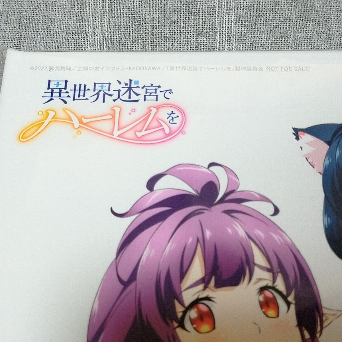 異世界迷宮でハーレムを Blu-ray 上巻+下巻 全巻購入特典 キャンバス