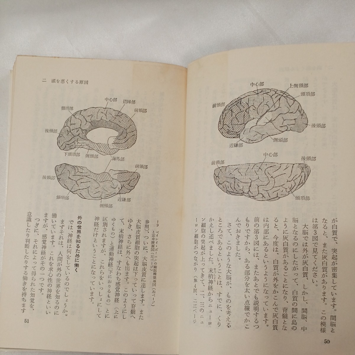 zaa-439♪頭のよくなる本―大脳生理学的管理法 (カッパブックス)（1960/01/01発売）_画像6
