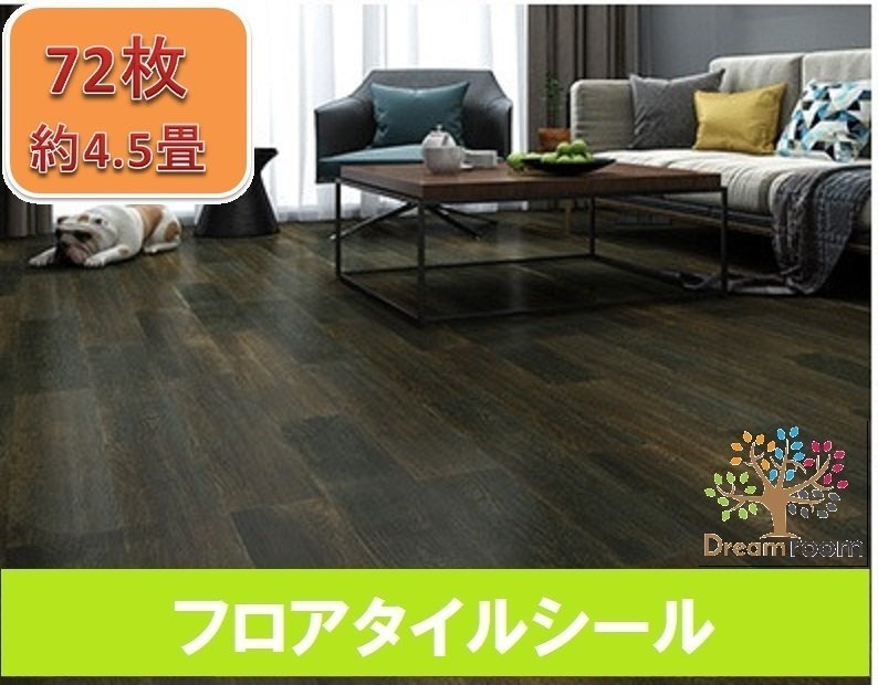 コミフォラ ホルトジアナ 現地株 ☆発根後2回越冬☆ 鉢ごと着払い+