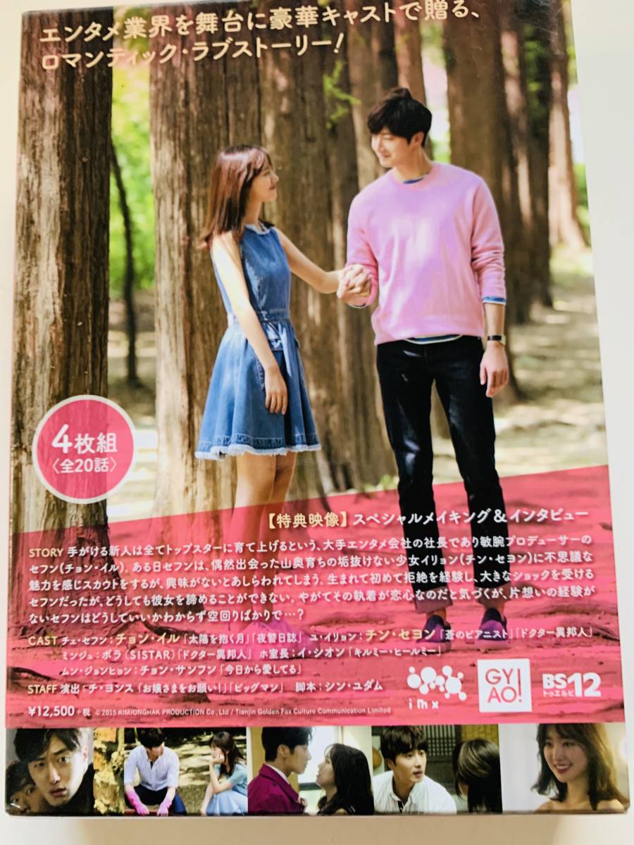 再再販! 【韓国】ステキな片想い DVDBOX <中古DVD4枚組>美品 韓国