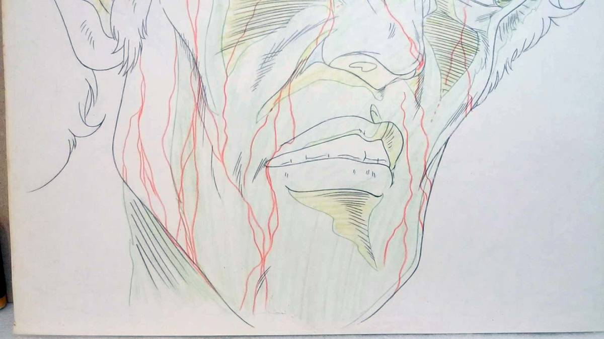 Fist of the North Star Raoh animation cel /北斗の拳 世紀末 Fist of the North Star Raoh animation cel /北斗の拳 世紀末