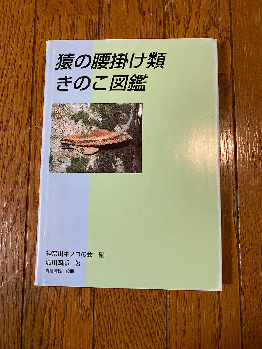 猿の腰掛け類　きのこ図鑑　樹木医_画像1