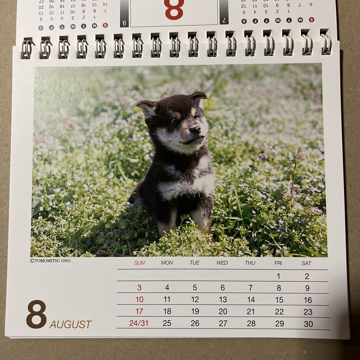 卓上カレンダー 柴犬_画像3
