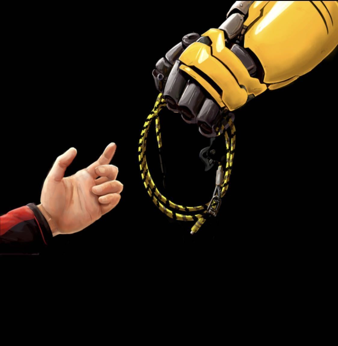 HB Bumblebee ワイヤーコアランヤード3m アーボリスト ツリー HB Bumblebee ワイヤーコアランヤード3m アーボリスト ツリー