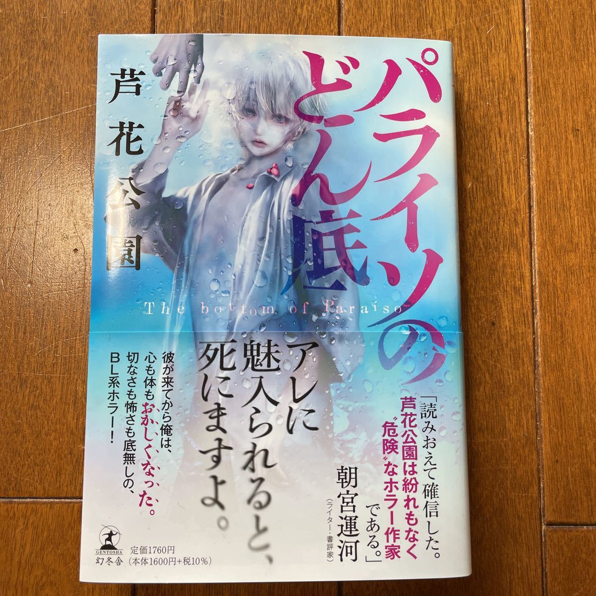 ヤフオク! - 【 パライソのどん底 】芦花公園 著 / 送料無料
