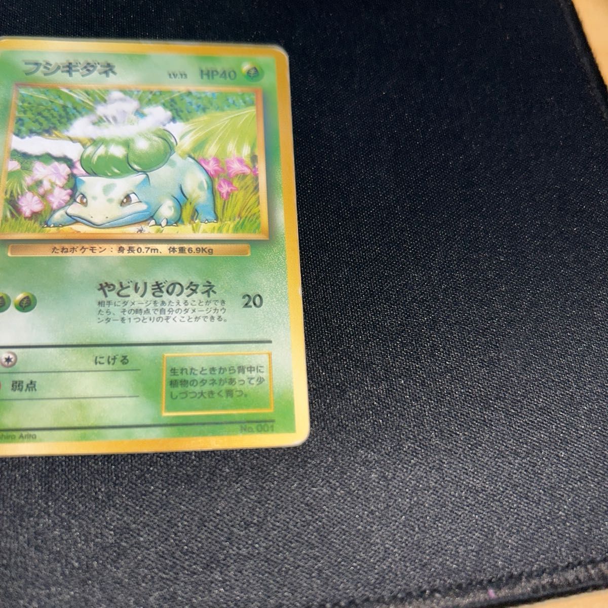 旧裏面 ポケモンカード ポケモンカードゲーム ポケモンカード 旧裏