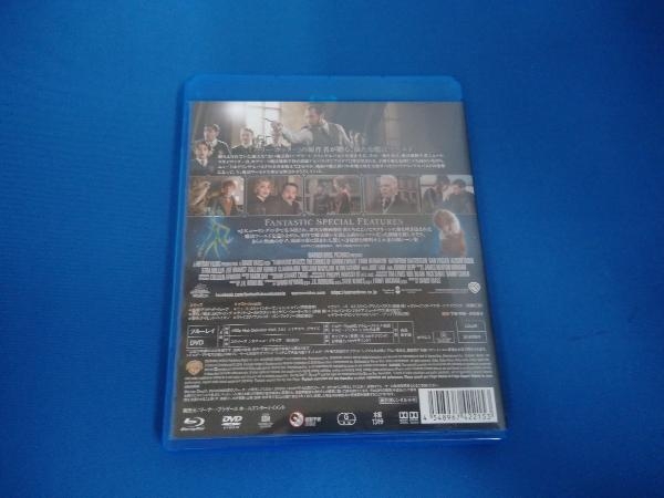 ファンタスティック・ビーストと黒い魔法使いの誕生 ブルーレイ&DVDセット(Blu-ray Disc)_画像2