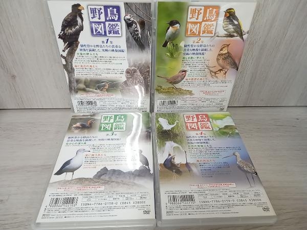DVD 野鳥図鑑 DVD-BOX_画像5