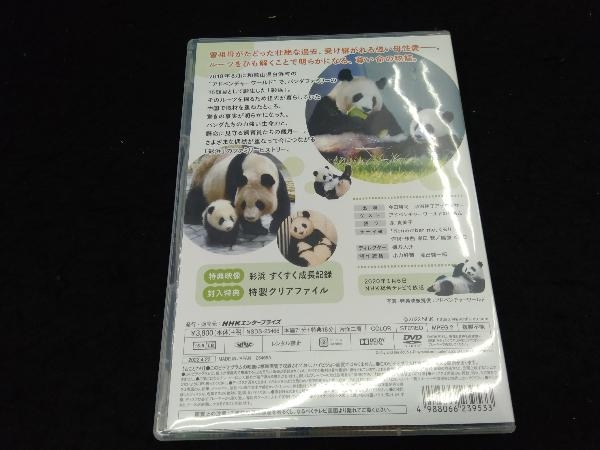 DVD ファミリーヒストリー パンダ・彩浜(サイヒン) ~和歌山・パンダ一家のルーツ~_画像2