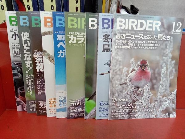 抜け巻あり］ BIRDER バーダー 2016 9冊セット 文一総合出版