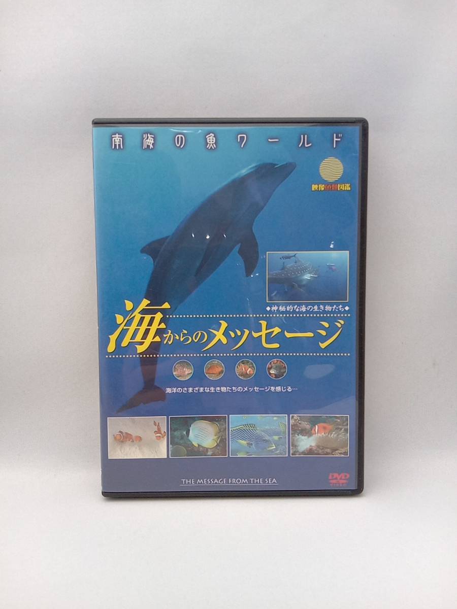 DVD 南海の魚ワールド 海からのメッセージ 映像魚類図鑑_画像1