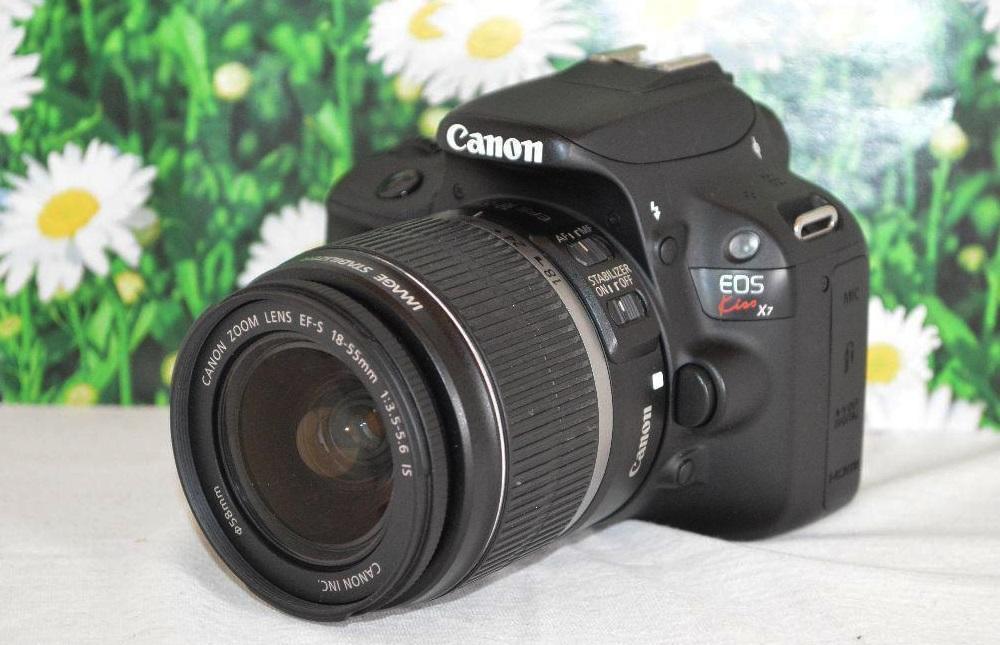 送料無料キャンペーン?】 24-70mm EF IV Mark 5D EOS Canon 美品 １年