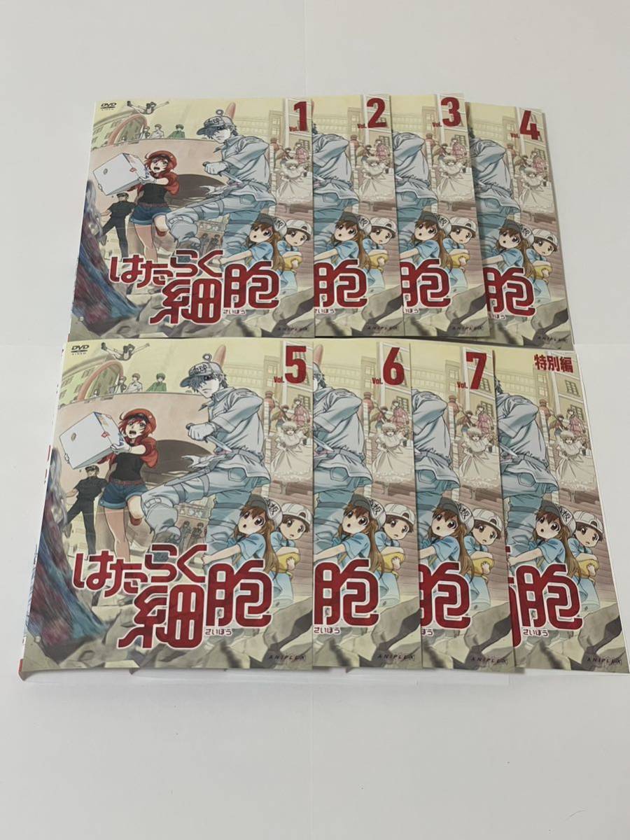 はたらく細胞 DVD 6巻+特別編 計7巻セット 高級品市場 www.abhomeqatar.com