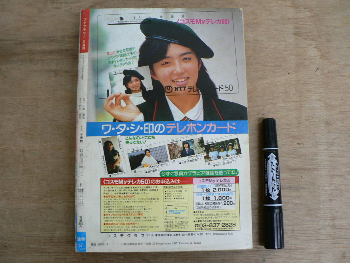 プチフラワー 1987年3月号 小学館 少女まんが 昭和62年 / 萩尾望都 森脇真末味 木原敏江_画像8