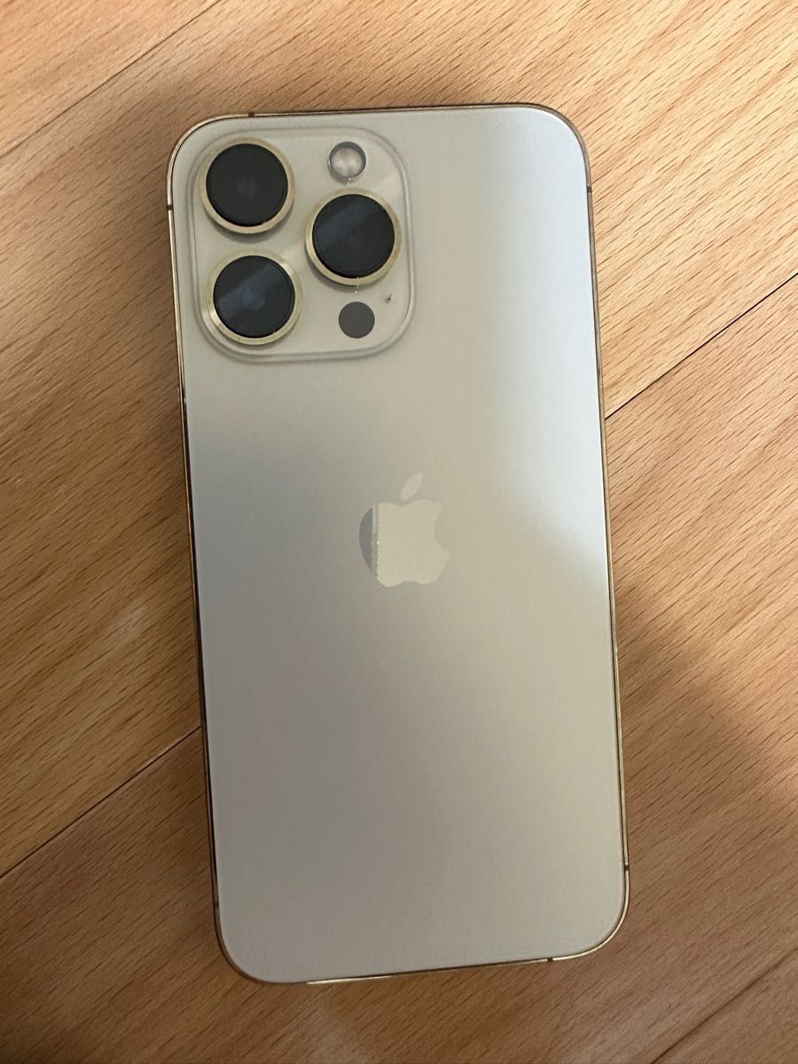 iPhone 13 Pro Max ゴールド 128 GB SIMフリー eva.gov.co iPhone 13 Pro Max ゴールド 128 GB SIMフリー eva.gov.co