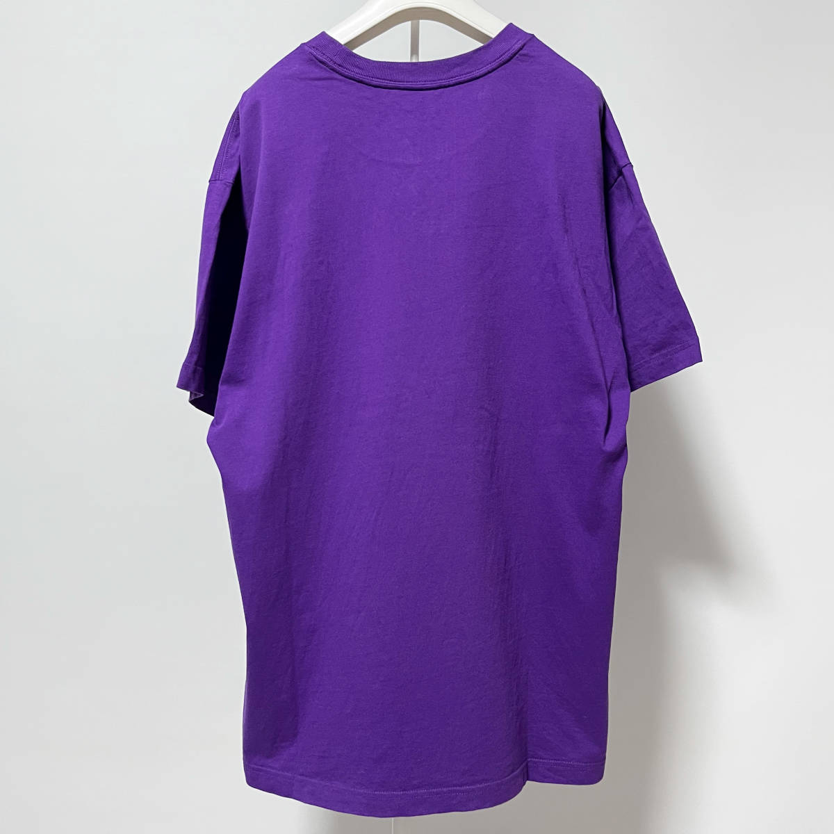 【サイズ：L】The North Face Kaws Tee Purple Blue ザ・ノース・フェイス コラボ カウズ Tシャツ パープル ブルー_画像3