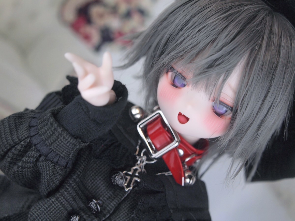 ぐるぐる】DDH-29 SW肌 ドルフィードリーム MDD Dollfie Dream