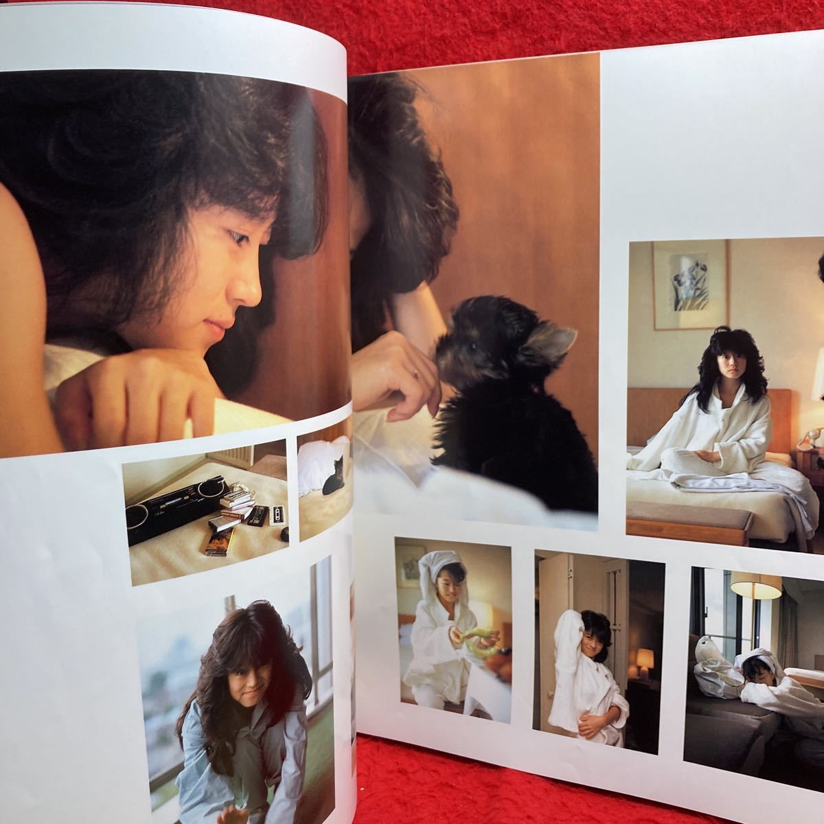 0 Nakamori Akina AKINA NAKAMORI BITTER & SWEET 1985 SUMMER CONCERT pamphlet bita-& sweet 
