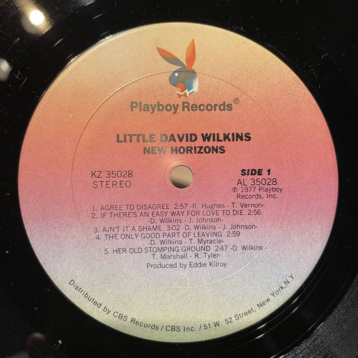 【US盤Org.】Little David Wilkins New Horizons (1977) Playboy Records KZ 35028 Billy Strange_画像4