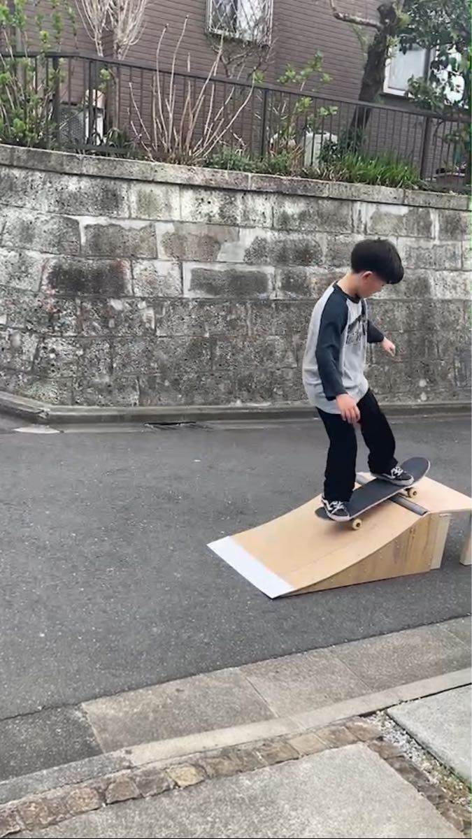 スケボー ランプ NFボード仕様 sk8sgrさん専用-