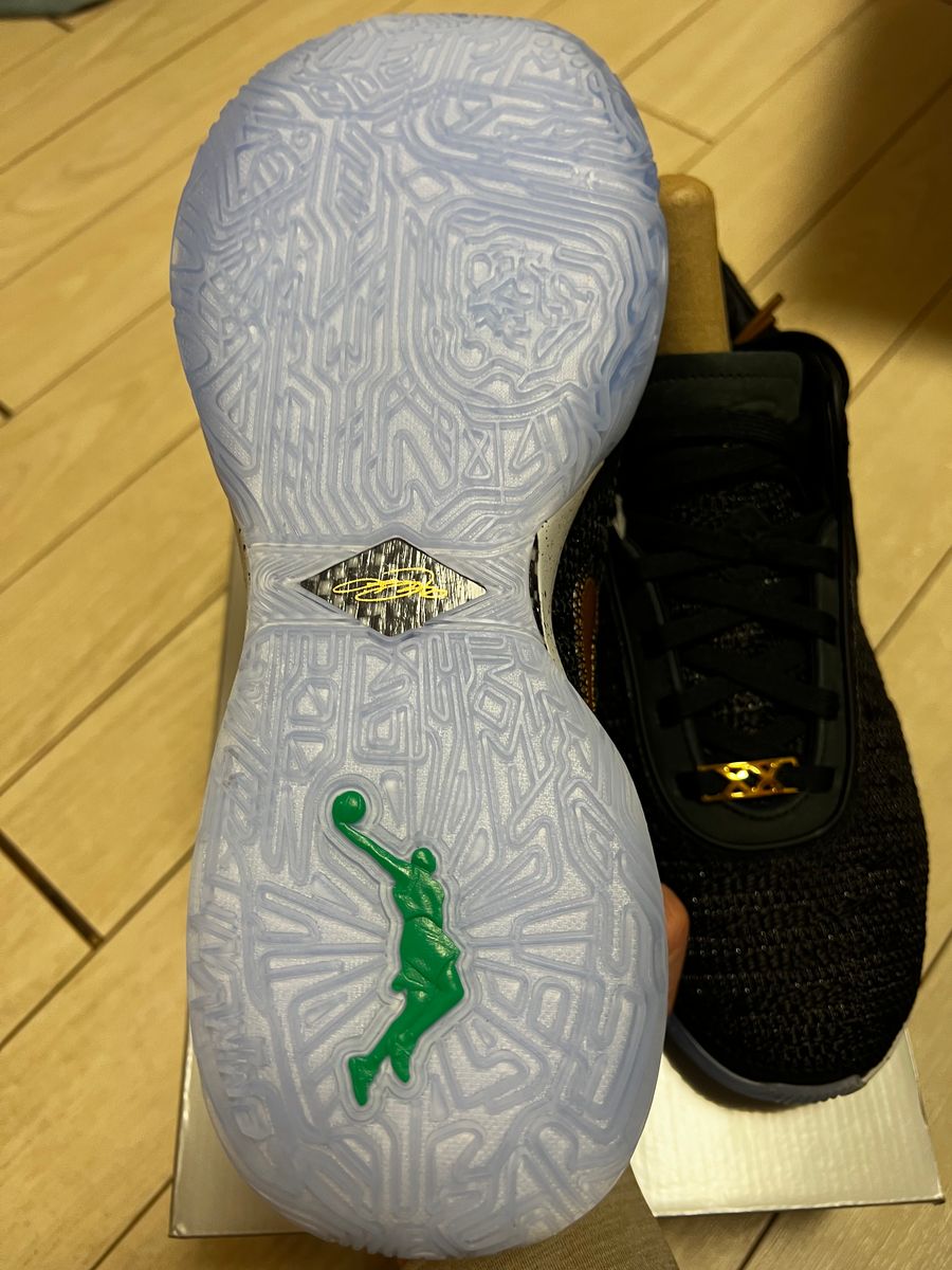 Nike Lebron 20 “Fab5” 新品 27.5 ナイキ レブロン 5