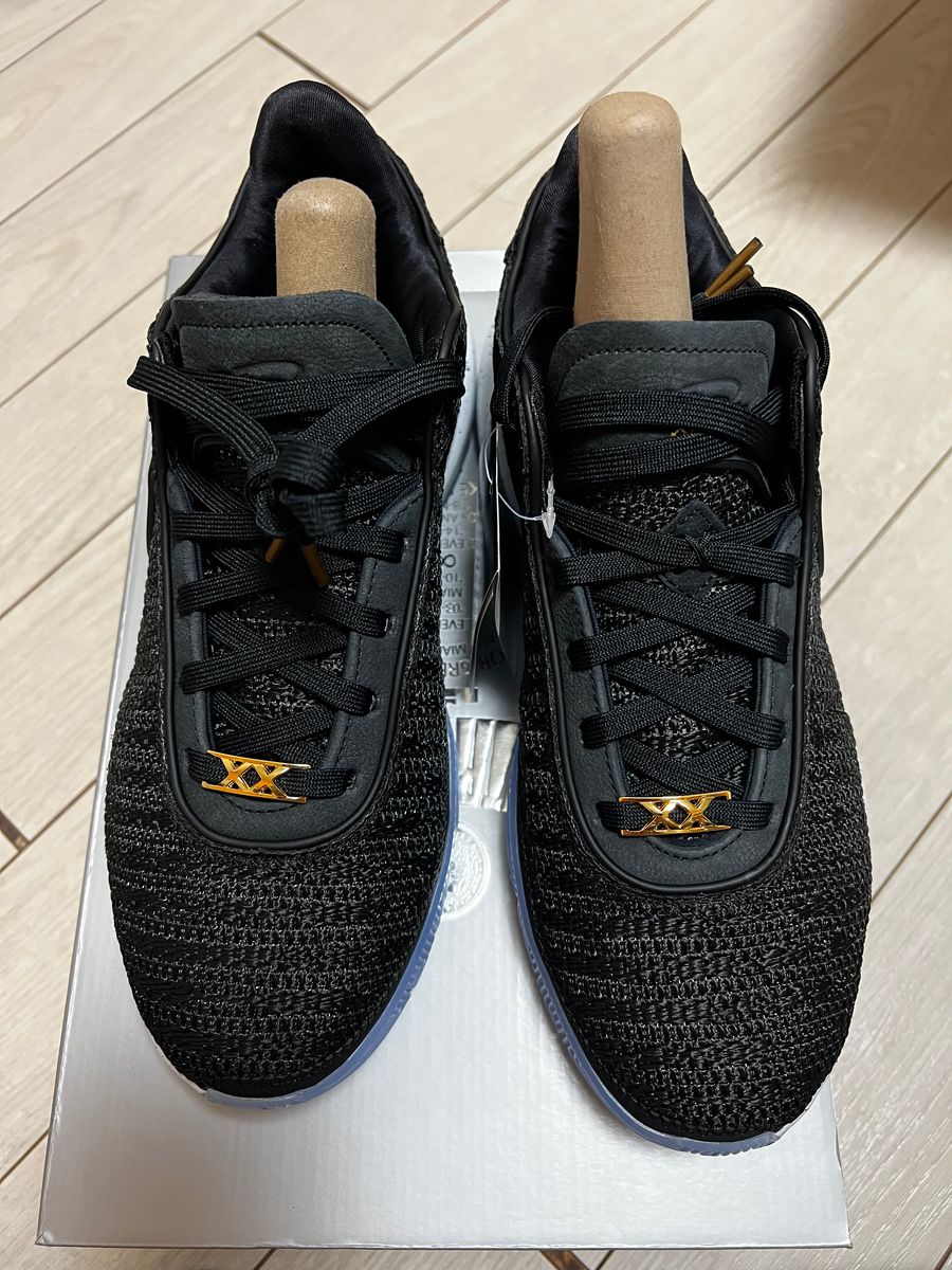 Nike Lebron 20 “Fab5” 新品 27.5 ナイキ レブロン 6