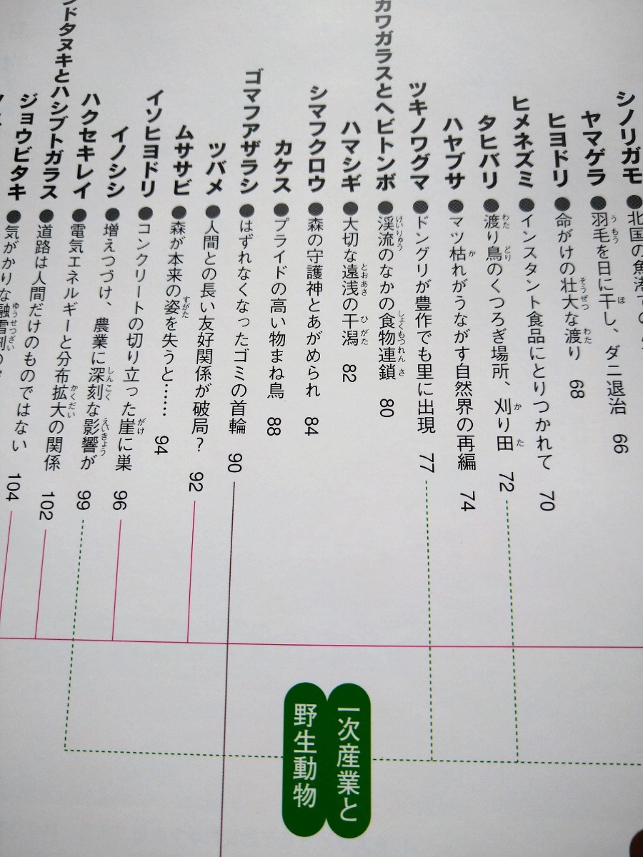 . raw animal. neck .... litter (..... environment Japan living thing report 3) Miyazaki .| photograph * writing theory company library disposal book