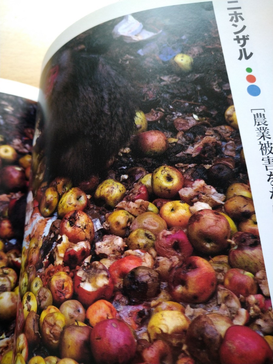 . raw animal. neck .... litter (..... environment Japan living thing report 3) Miyazaki .| photograph * writing theory company library disposal book
