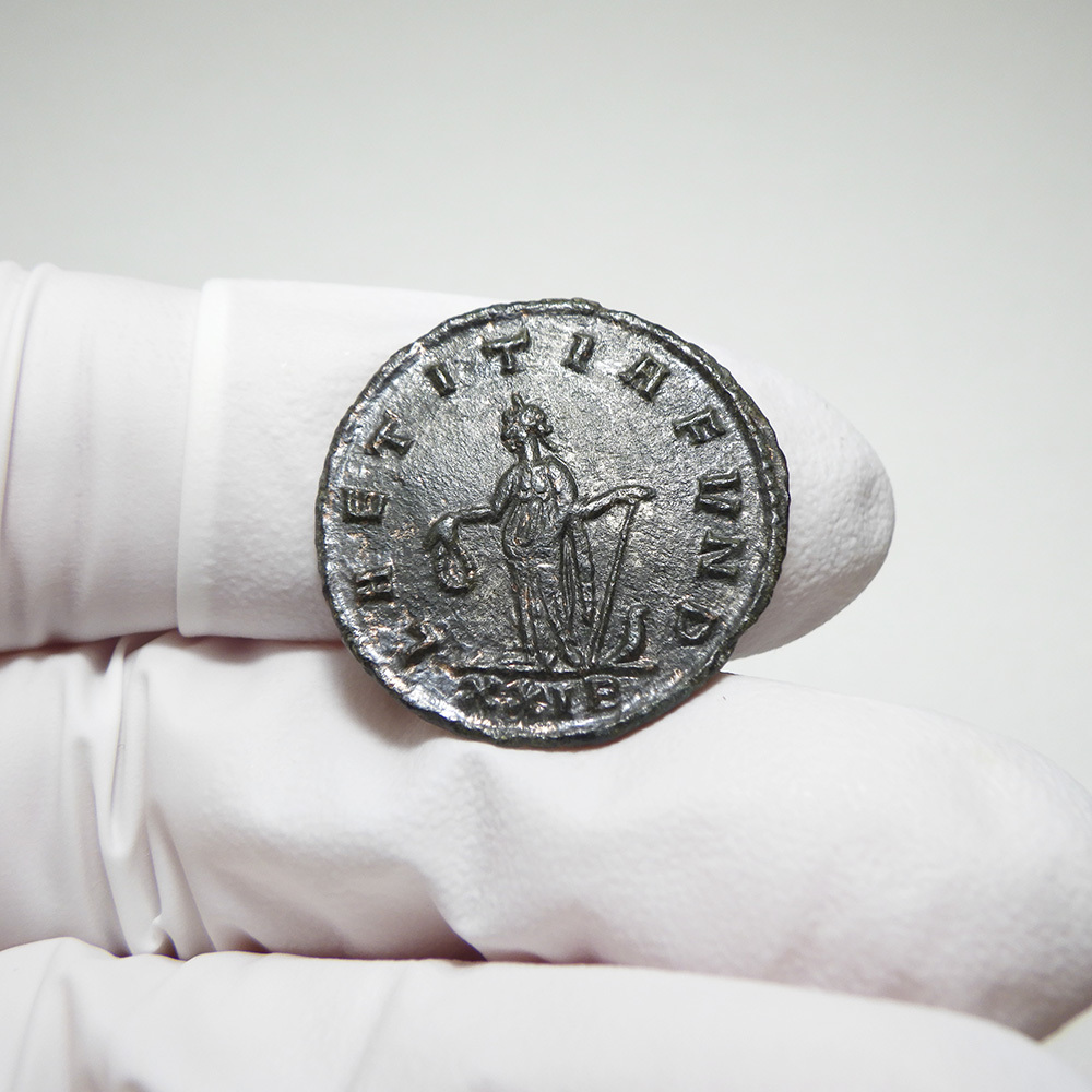 【古代ローマコイン】Tacitus（タキトゥス）クリーニング済 ブロンズコイン 銅貨 アントニニアヌス(W7t95jzU7U)_画像6