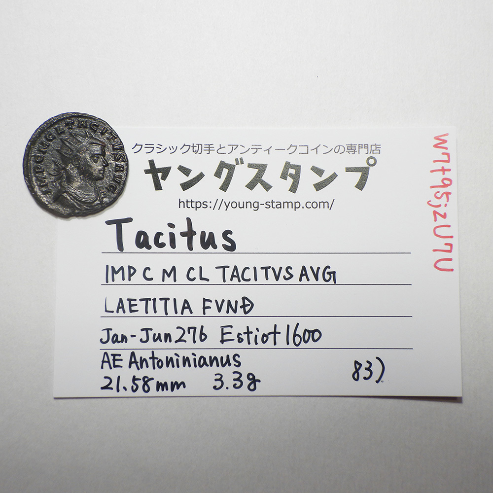 【古代ローマコイン】Tacitus（タキトゥス）クリーニング済 ブロンズコイン 銅貨 アントニニアヌス(W7t95jzU7U)_画像10