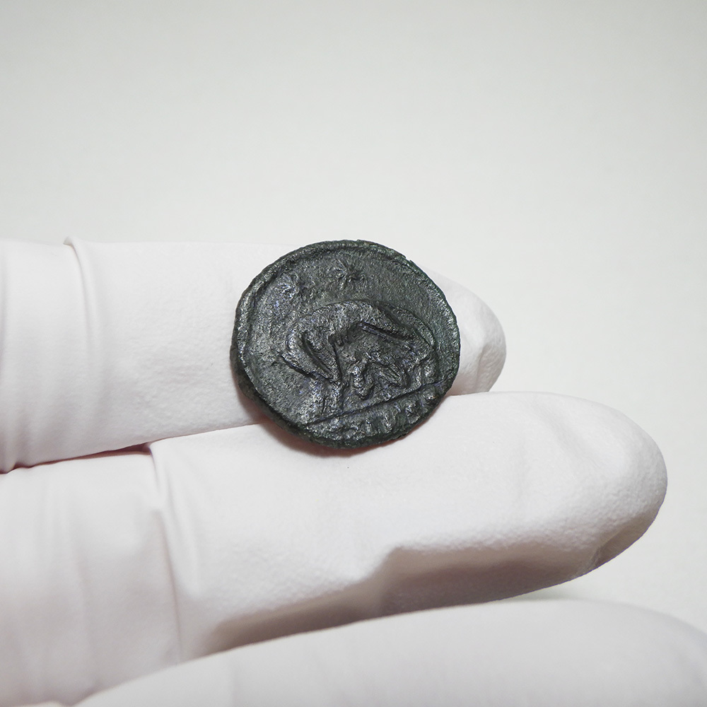 【古代ローマコイン】VRBS ROMA（ローマ市記念）クリーニング済 ブロンズコイン 銅貨 フォリス(56jpiWEfZf)_画像8