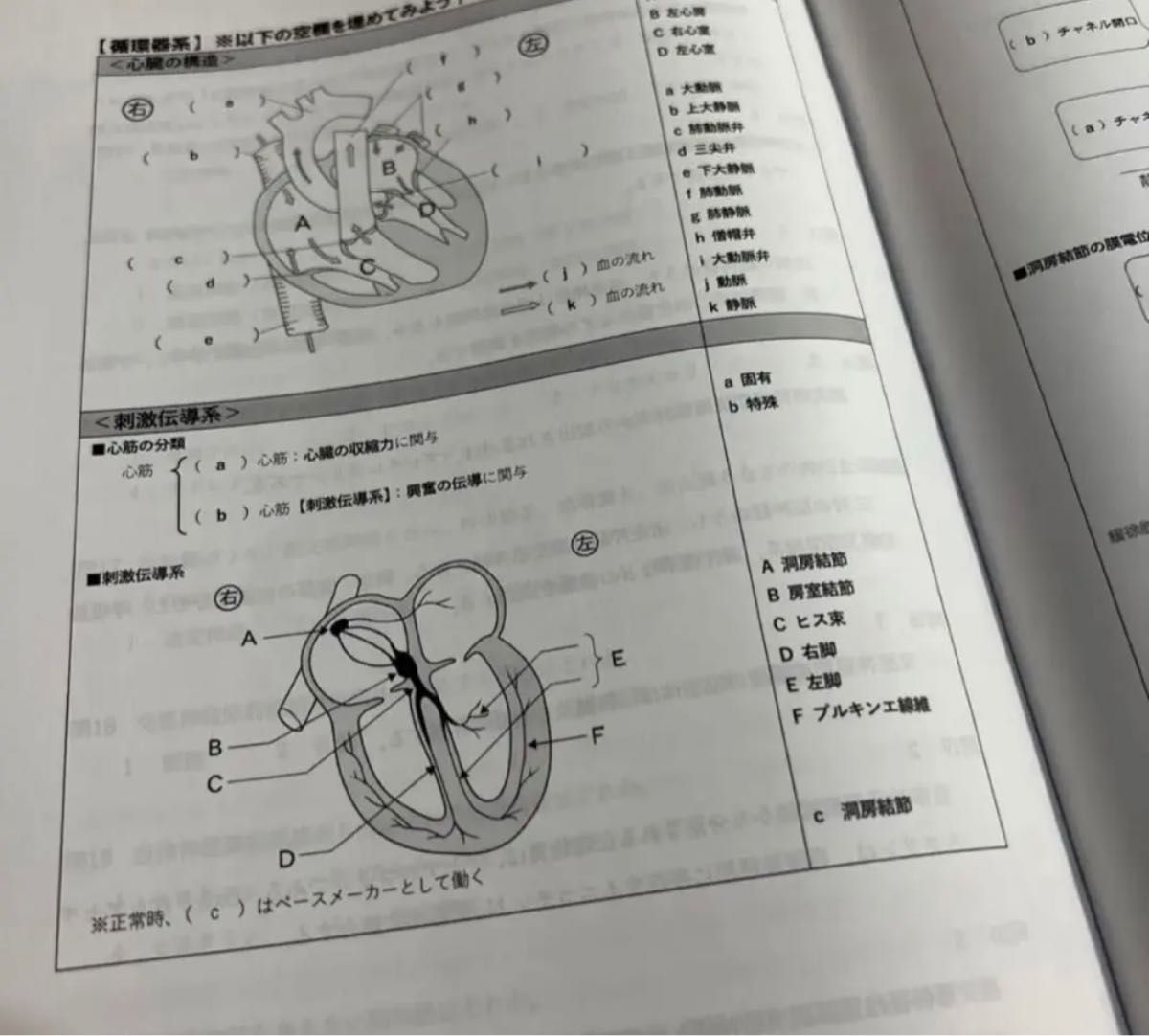 コアカリ重点ポイント集 コアカリマスター 第8版 CBT 薬ゼミ