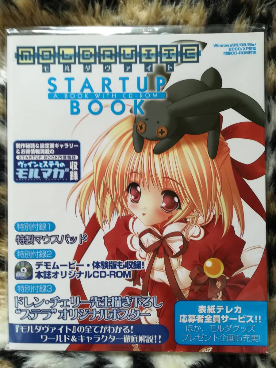 【新品デッドストック】モルダヴァイト　スタートアップブック 　大型本