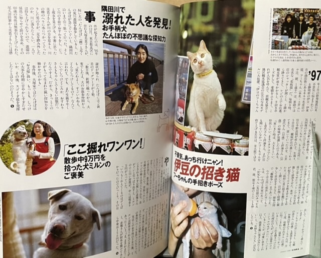 即決！新潮社『シンラ SINRA 1998・1』特集・ニュースになった犬と猫のドラマ　岩合光昭/椎名誠/中村征夫/小沢昭一/稲越功一/丸山健二 他_画像8