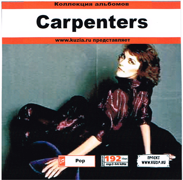 カーペンターズ 青春の輝き Carpenters 7インチレコード