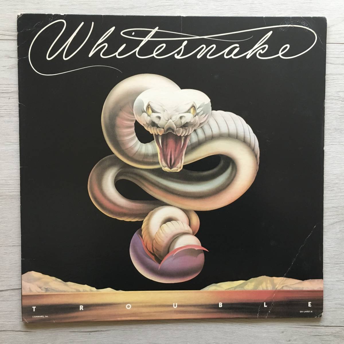 Whitesnake Trouble Us Edition