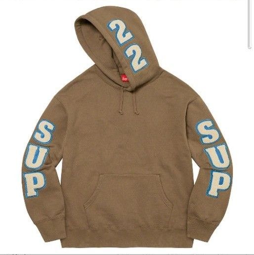 Supreme Team Chenille Hooded Sweatshirt 'Ash Grey