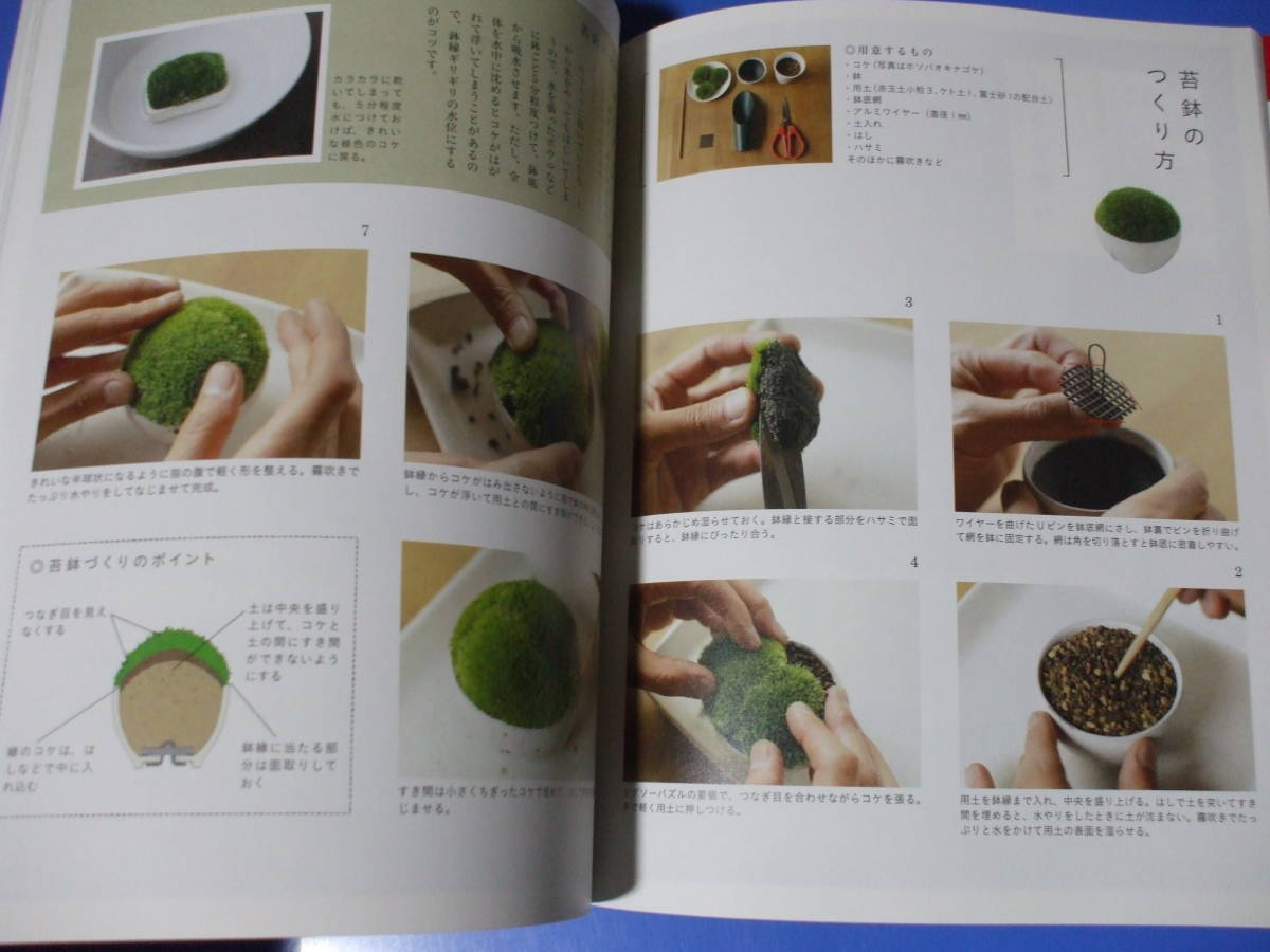 ★苔玉と苔★小さな緑の栽培テクニック