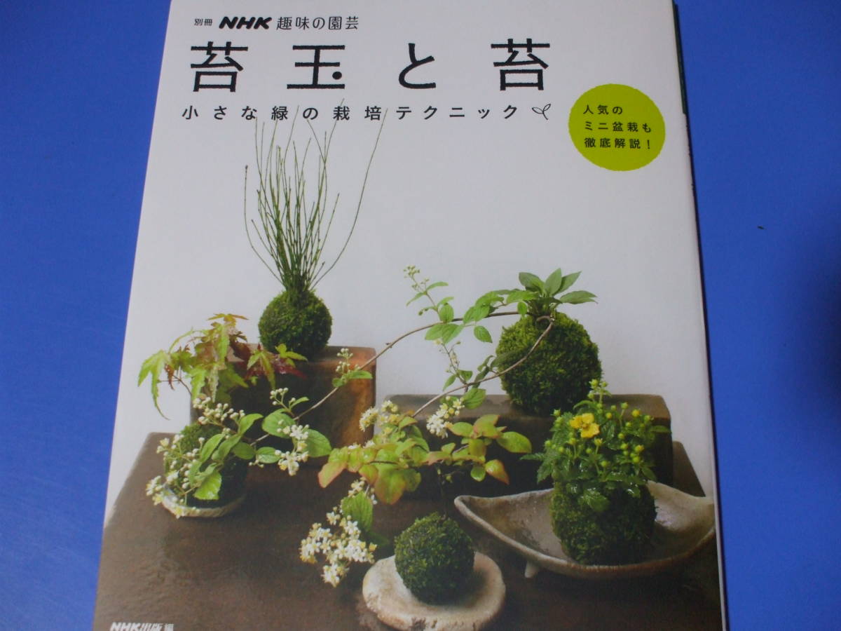 ★苔玉と苔★小さな緑の栽培テクニック