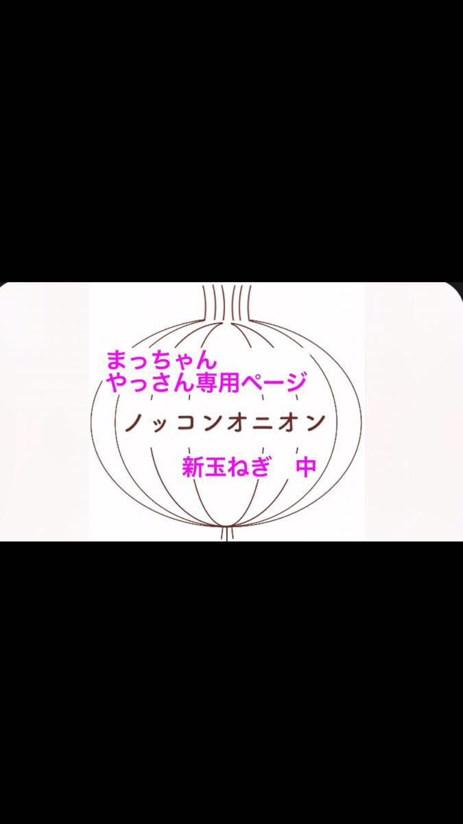 やっさん まっちゃん専用 新玉ねぎ 中|Yahoo!フリマ(旧PayPayフリマ)