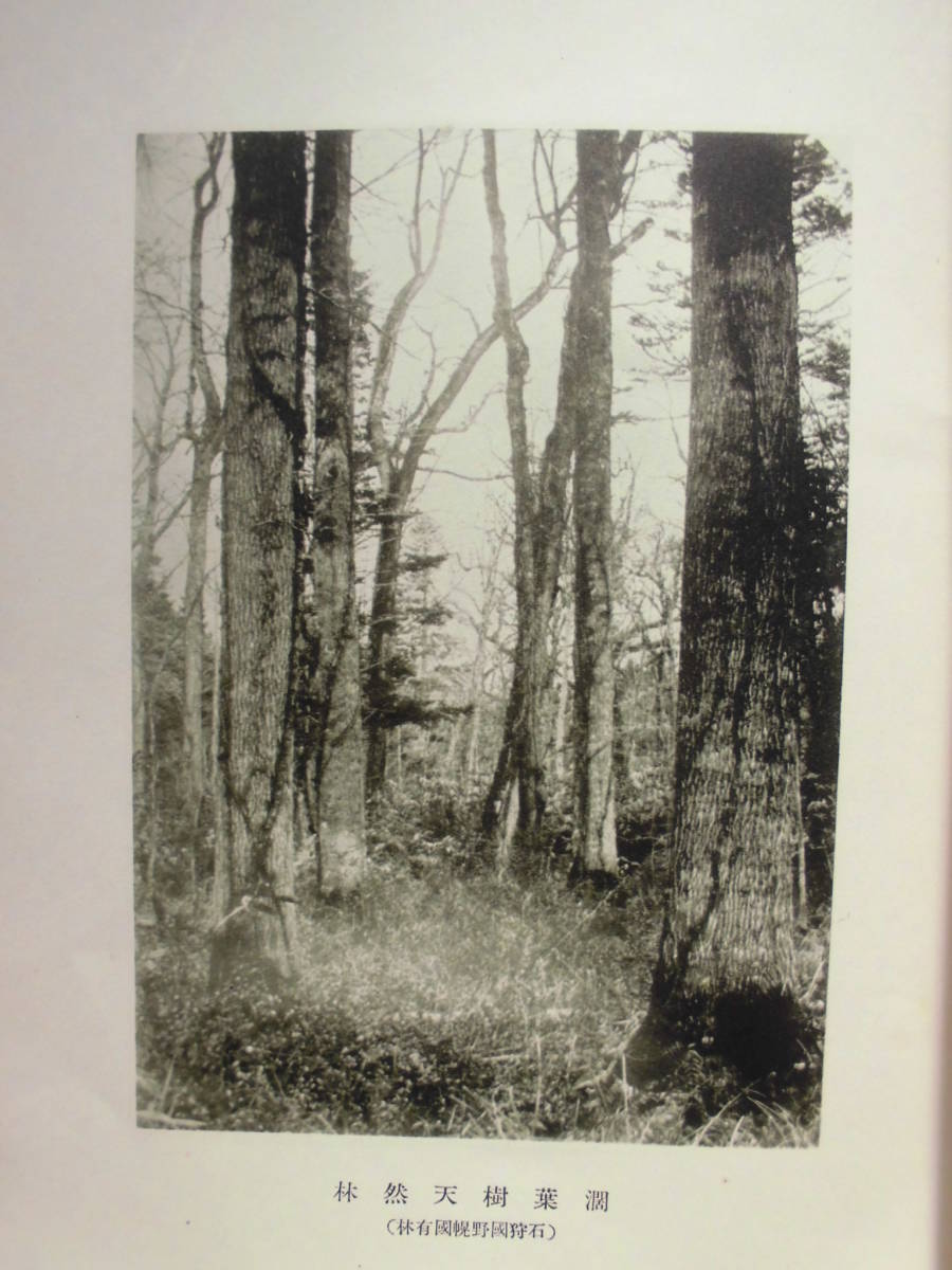  booklet * Hokkaido forest . one . Showa era 8 year monochrome photograph Hokkaido ... lesson not for sale 