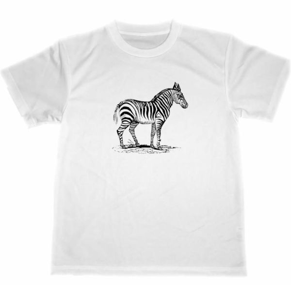 シマウマ　ドライ　Tシャツ　アニマル　動物園　動物　グッズ_画像1