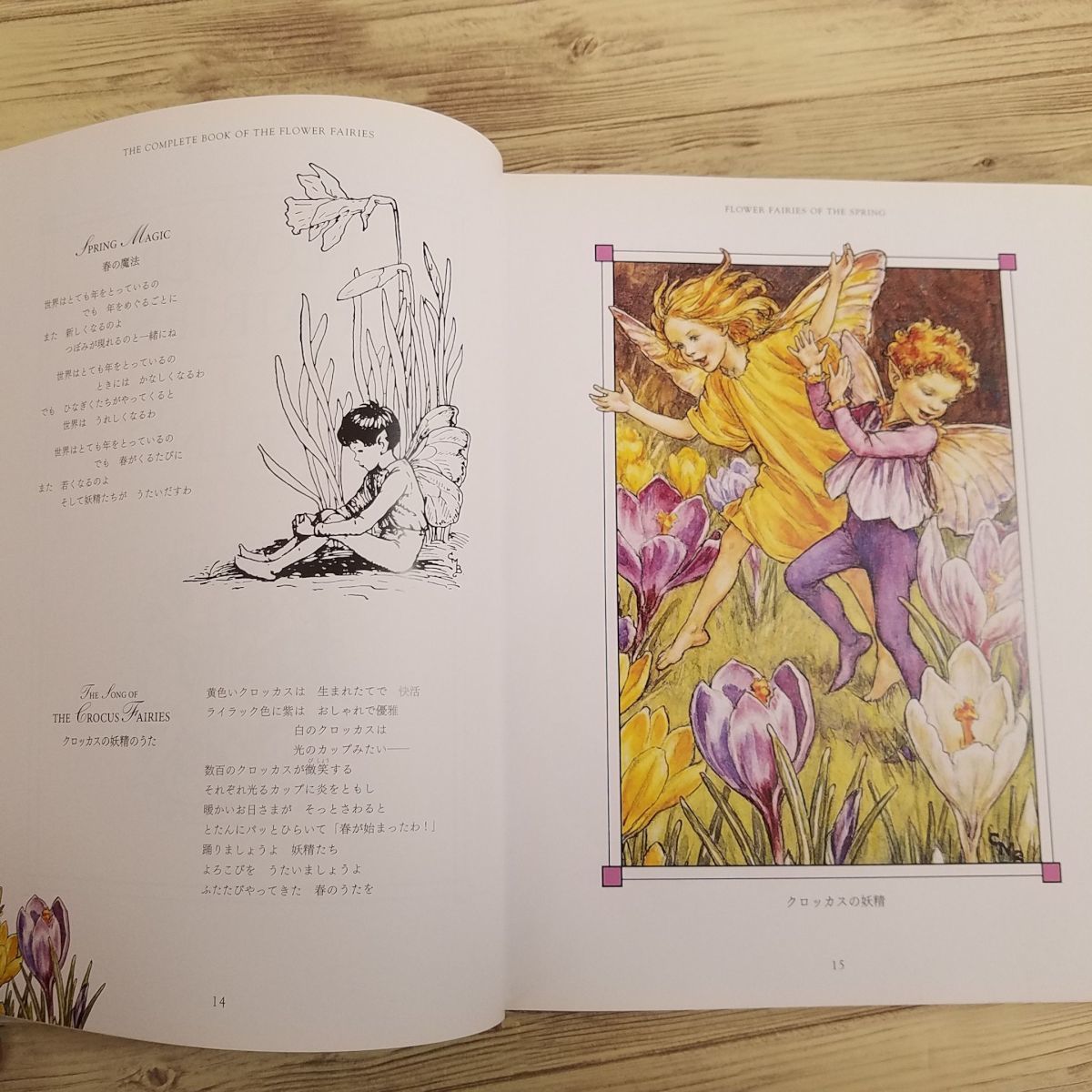  book of paintings in print [sisi Lee * Mary -* Barker flower fea Lee z Fairy of Flower .. collector's edition ] graphic company illustration collection ...