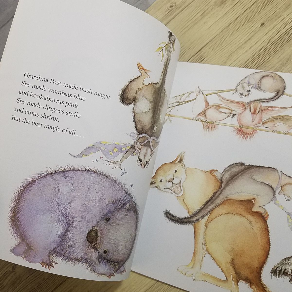 外国語絵本[ポッサムばあさんの魔法 Possum Magic] 英語絵本 洋書 オーストラリアの動物がたくさん登場_画像8
