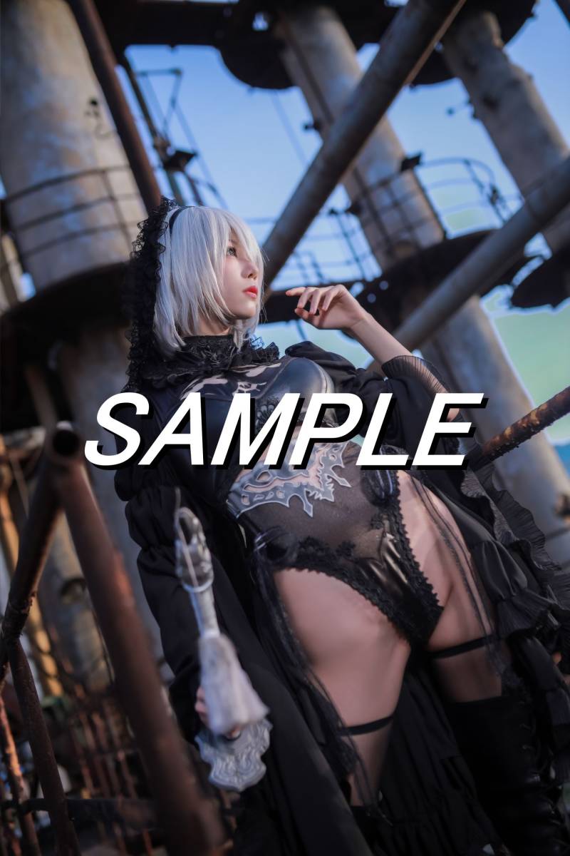 【CP-172　ニーア・オートマタ　2B　02】　L判写真10枚　海外コスプレ　Cosplay photo　10sheets　NieR: Automata_画像2