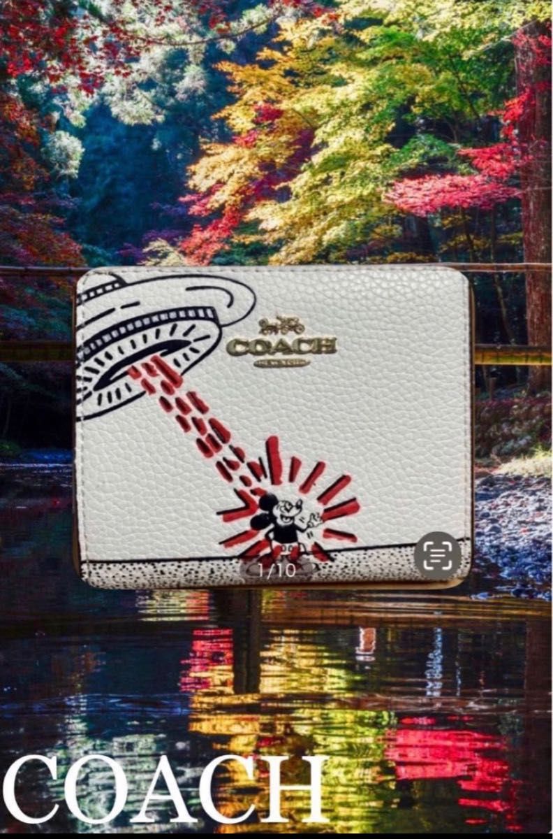 新品未使用品 COACH ディズニーミッキーマウスXキース ヘリングコラボ