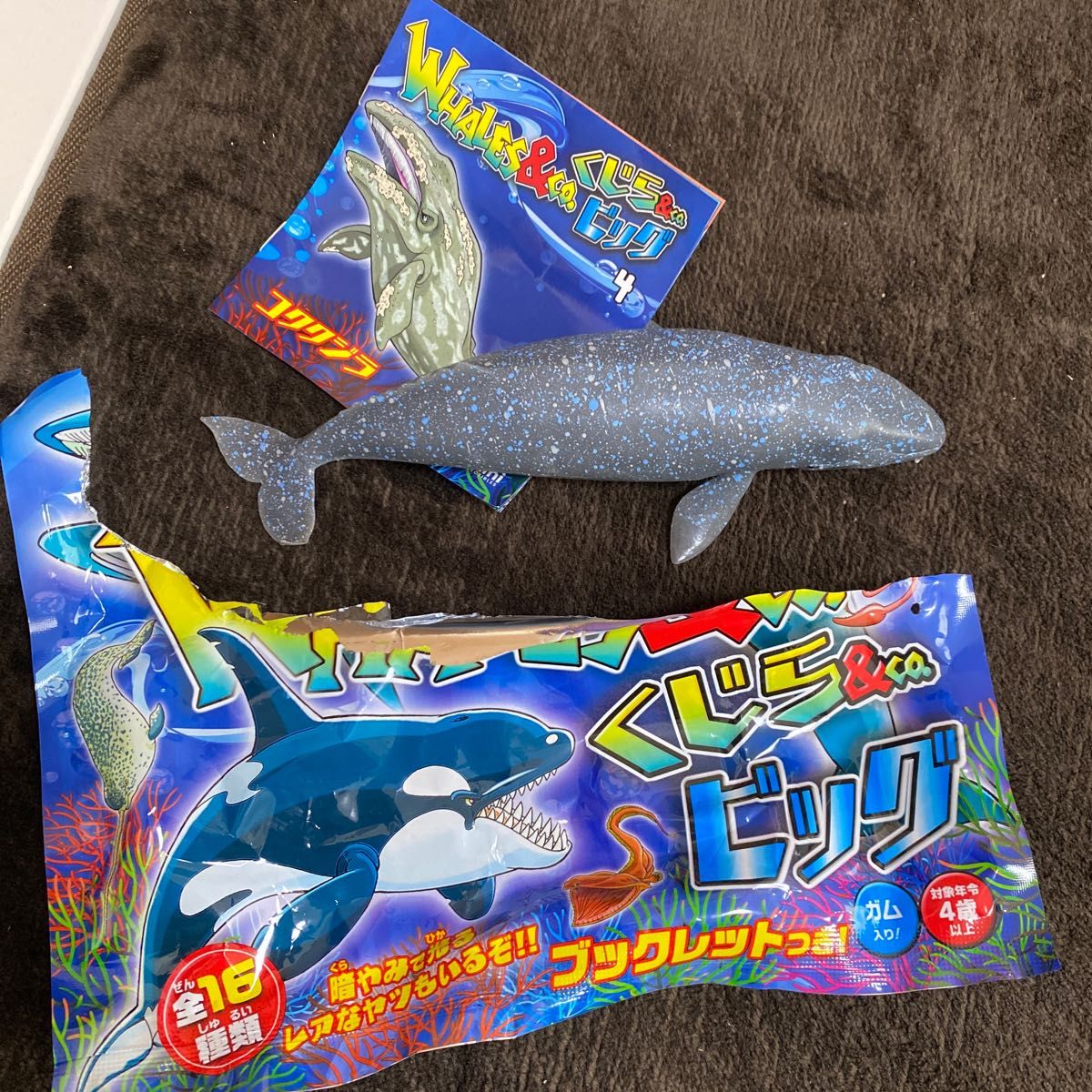 くじら&co ビッグ コククジラ|Yahoo!フリマ(旧PayPayフリマ) くじら&co ビッグ コククジラ|Yahoo!フリマ(旧PayPayフリマ)