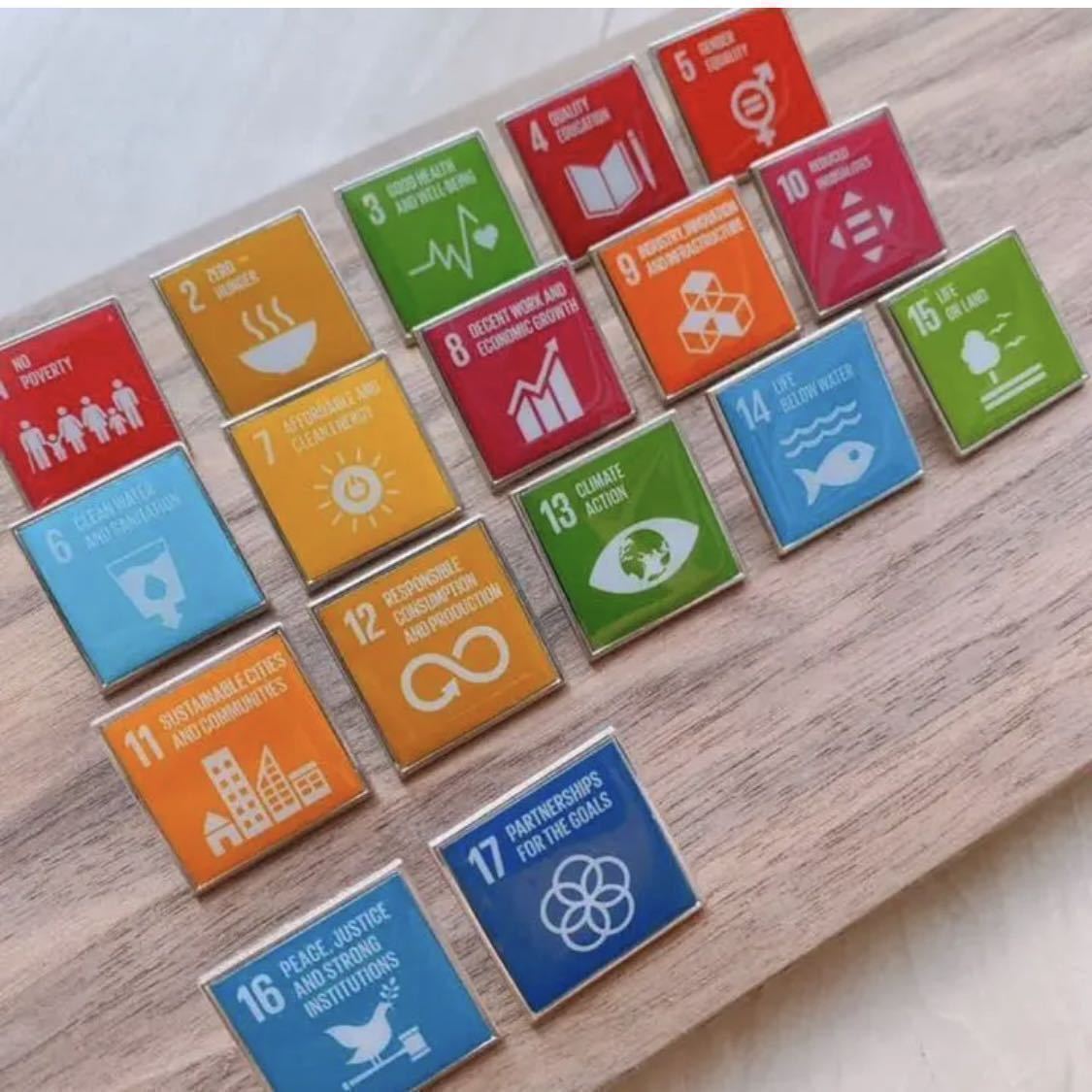SDGs ピンバッジ スクエア 単品販売 国連本部純正品 jonseitz.com