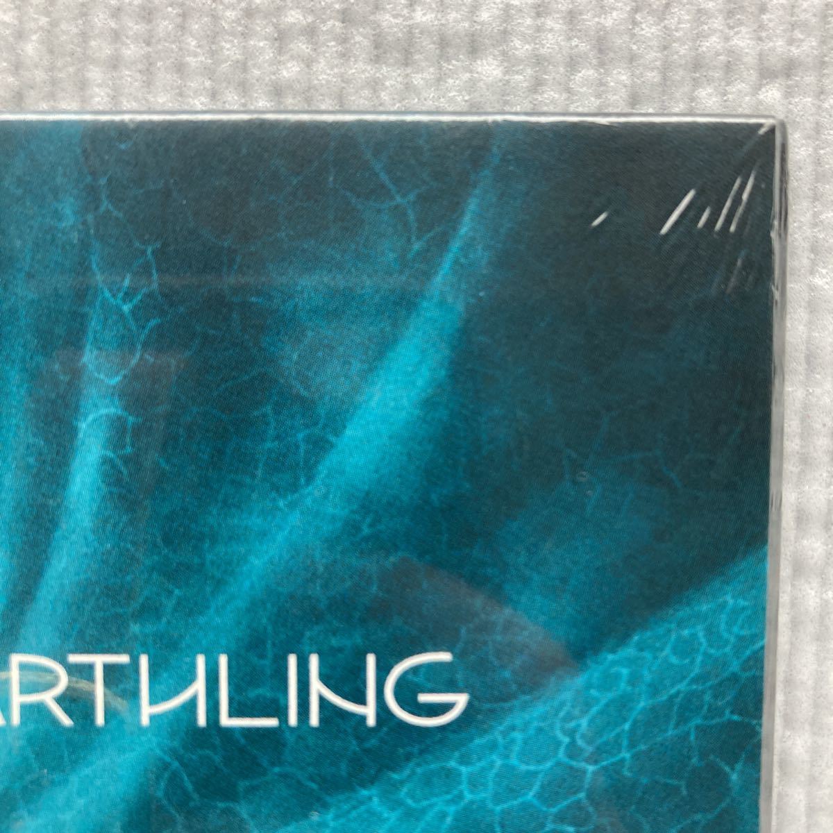 Eddie Vedder Earthling EDDIE VEDDER EARTHLING CD アースリング　エディ・ヴェダー　輸入盤CD 新品